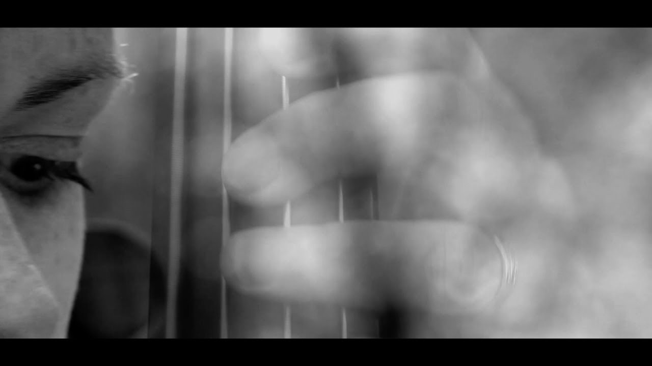 Watch Blue Jay - Saga Trio on YouTube Watch Blue Jay - Saga Trio on YouTube