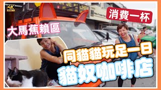 #Mangohk 779 大馬蕉賴區｜貓奴咖啡店｜消費一杯飲品｜貓貓玩足全日 🇲🇾 Poppy Kat in Cheras Malaysia