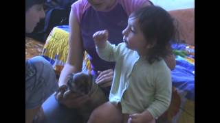 Funny two-year boy & small dog:) Прикольный малыш