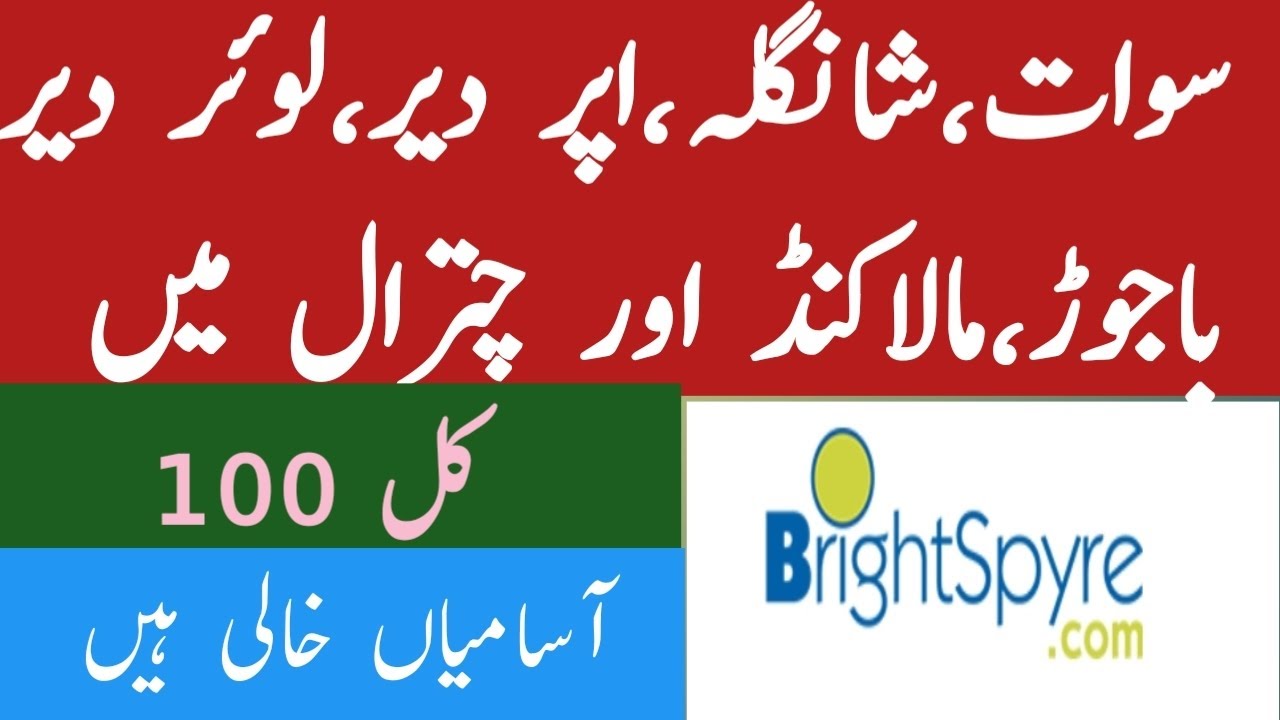 Field Enumerator KPK NGO jobs 2023 Swat Shangla Dir Chitral Bright