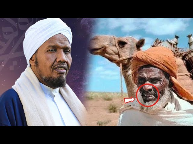 Yalangoch qiz uyda yolgiz Kocha firibgarliklari haqida onlayn porno videolarni tomosha qiling