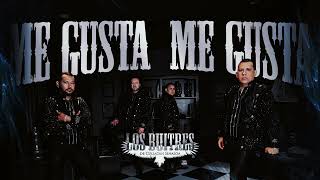Los Buitres De Culiacán Sinaloa - Me Gusta Me Gusta (video Lyric)