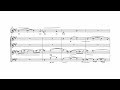 Capture de la vidéo Paul Hindemith - Melancholie, Op. 13 (1917~1919)