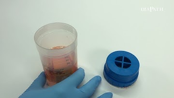 Diapath - SafeCapsule Line - Prostate Biopsy Kit