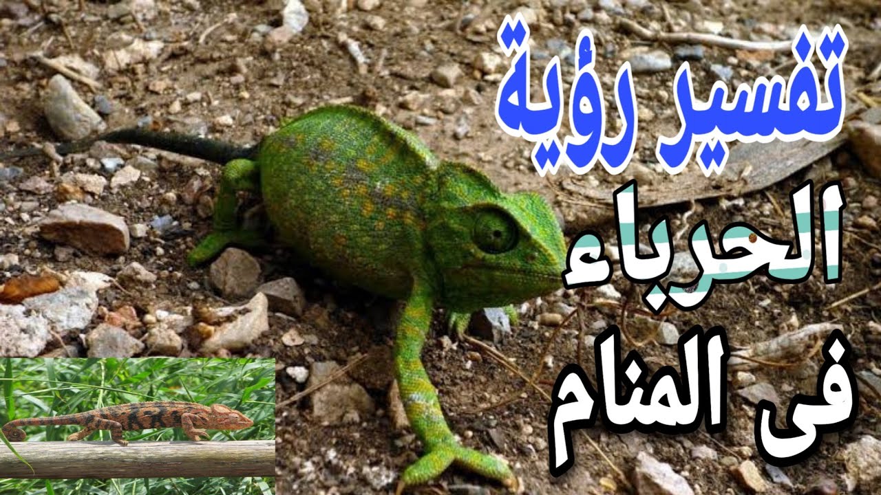 تفسير رؤية الهروب من النار فى المنام ما معنى الهروب من الحريق فى الحلم Youtube