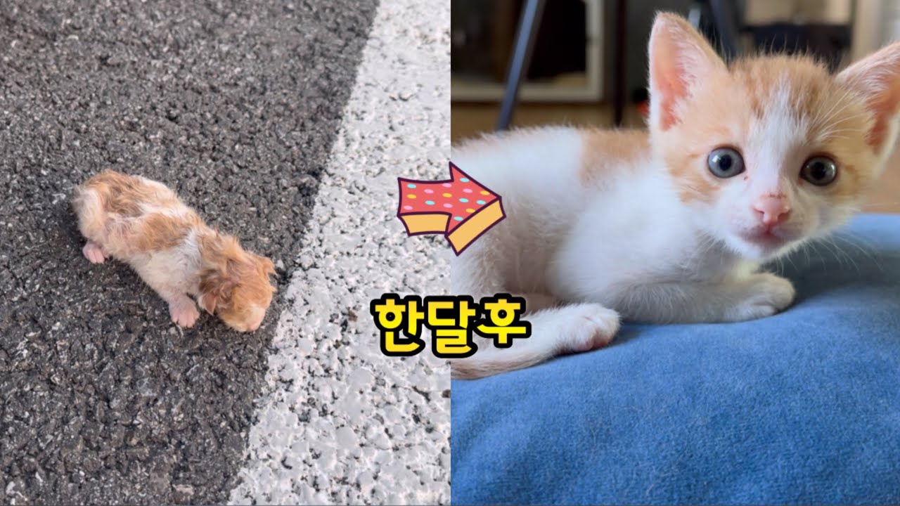 이뻐지는걸 바라지도 않았다, 살아만 달라고 했는데...