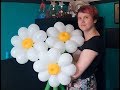 Ромашка из шаров 8 лепестков. Chamomile is made of balloons of 8 petals.