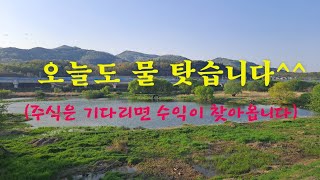 주식물타기#주식 #주식으로돈버는법 #물타기