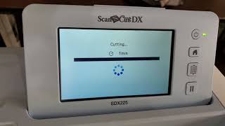 infusible ink double transfer and cutting it out on brother Scan N Cut sdx225