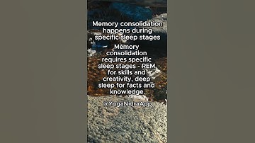The Sleep-Memory Connection
