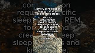 The Sleep-Memory Connection
