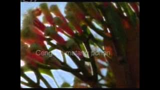 Download lagu RCTI Djarum Coklat