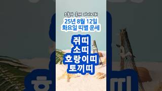 2025년 8월 12일 띠별 운세 | 쥐띠,소띠,호랑이띠,토끼띠 오늘의 운세 금전운 애정운 건강운