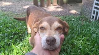 Infelizmente, assim está Lemmy (Mini-Nino)