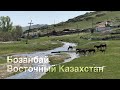 Бозанбай (Никитинка) 2019. Восточный Казахстан