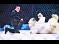 Цирк на льду «Айсберг» 2022. Белые медведи. Последнее представление в цирке