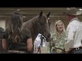 2026 NRCHA CINCH Stallion Stakes Champions: Smart Dressed Dude & Corey Cushing