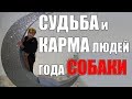 СУДЬБА И КАРМА  ЛЮДЕЙ ГОДА СОБАКИ . ЧАСТЬ 1