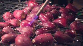 How to make Prickly Pear Jelly