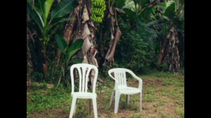 Pitorro De Coco - BAD BUNNY