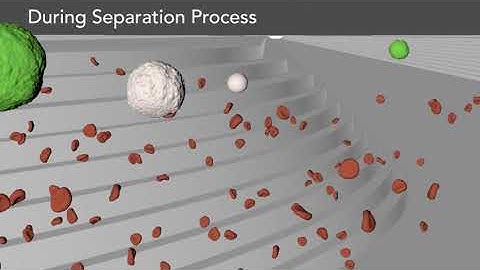 Animation showing Parsortix separation process cancer cells shown green
