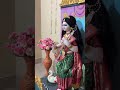 Saraswati Puja Of Kolkata 2026 || Saraswati Ma 2026 #saraswati #kolkata #visarjan #maa #kumartuli