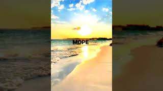 Bitwork-Морепри.уч Битворк