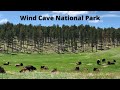 Rankin Ridge Interpretive Trail | Wind Cave National Park, South Dakota