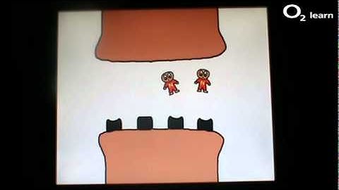 Synaptic Transmission