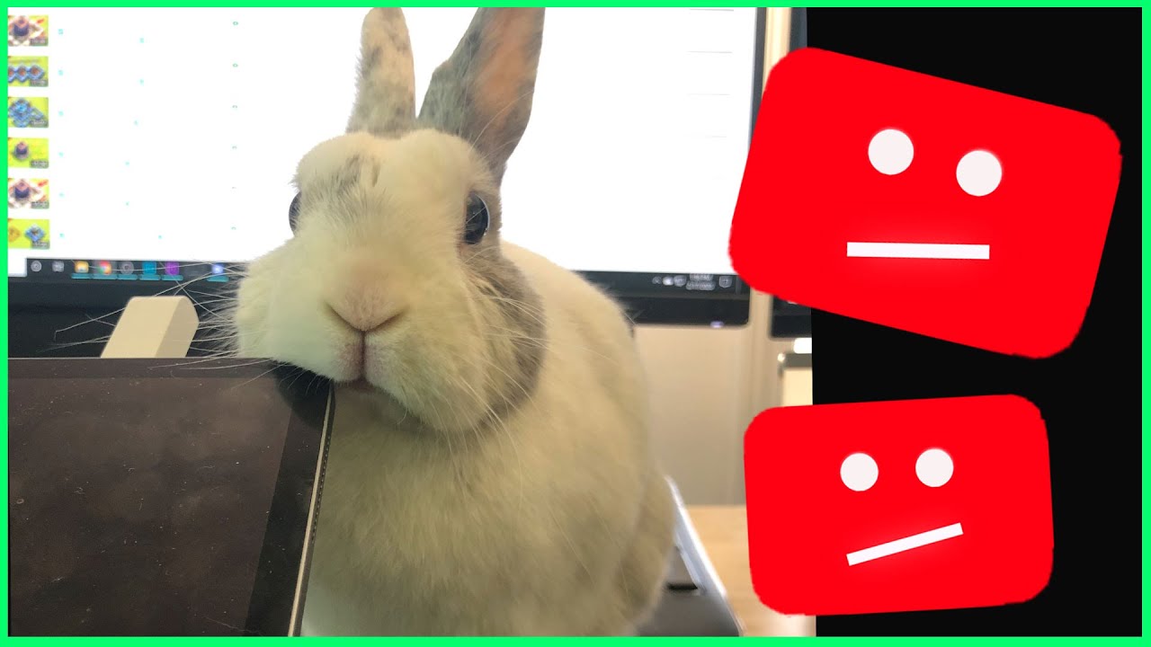 TODAY WAS AN INCREDIBLY DIFFICULT DAY GUYS. (WHERE IS LULU, IS SHE OK?) - YouTube