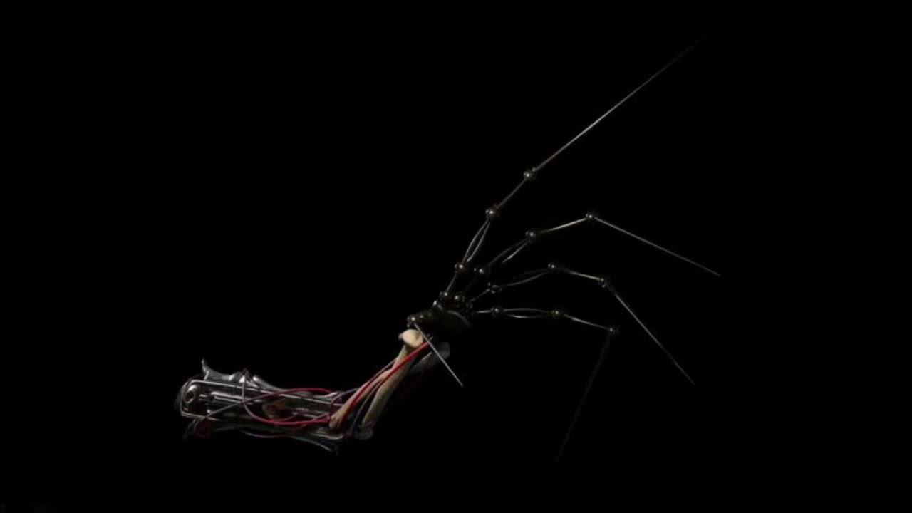 прототип поппи плей тайм 2. пратачип поппи плейтайм. прототип 1006 poppy playtime. эксперимент 1006 прототип poppy playtime. прототип poppy playtime.