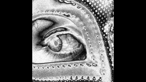 revoC - cirtcelE dniM ehT