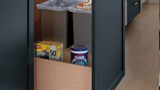 Lowes DoubleWastePullout QR