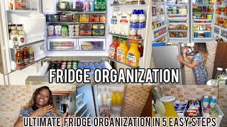 FRIDGE ORGANIZATION: :ULTIMATE FRIDGE ORGANIZATION IN 5 EASY STEPS!//CLEAN AND RESTOCK