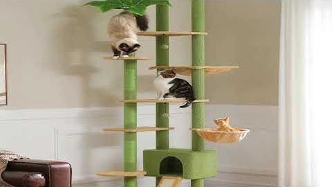 Cactus Cat Tree Floor to Ceiling Cat Tower Adjustable Height with Cat Condo Cozy Hammock and Sc