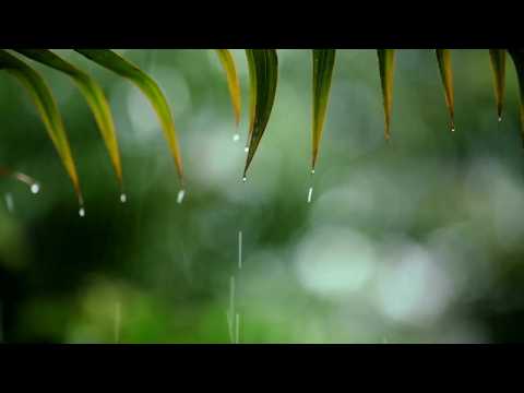 Soft Piano & Rain Sounds – Peaceful Night Music for Anxiety Relief and Relaxation