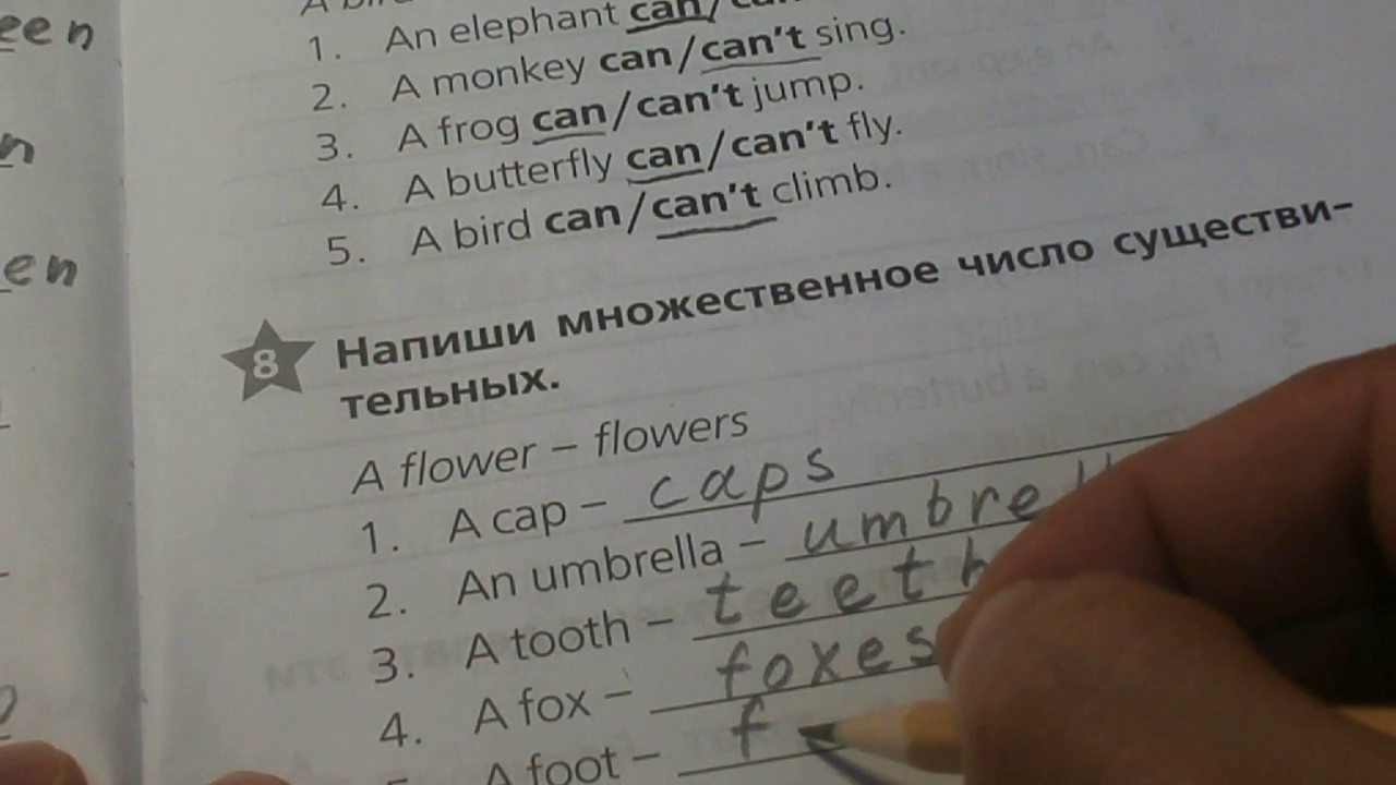 Сборник страница 11 номер 2. Гдз по английскому 2 класс сборник упражнений Звездный английский. Гдз по Звездный английский 2 класс сборник упражнений. Сборник упражнений Звездный английский модуль 8 для 4 класса. Звёздный английский 2 класс сборник упражнений ответы.