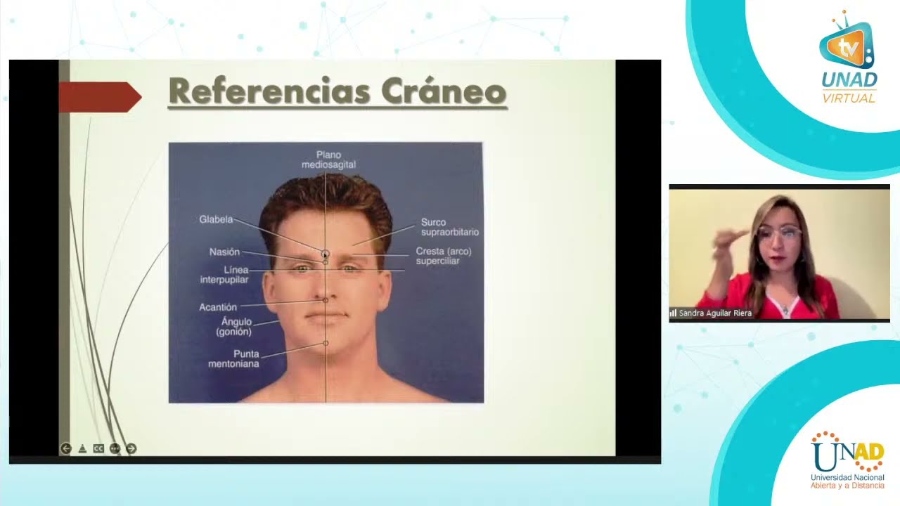Técnica radiológica de cráneo y macizo facial