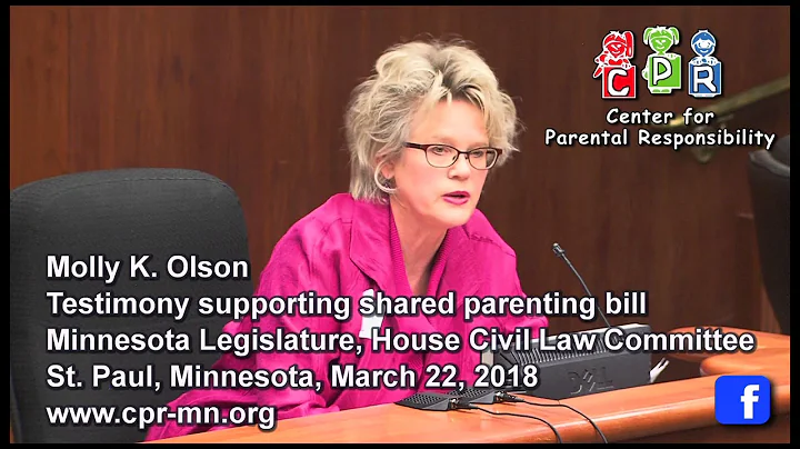2018 MN Civil Law hearing - Equal Shared Parenting...