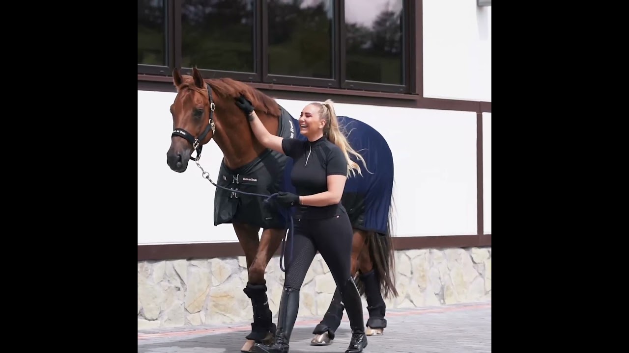 Back On Track Deluxe Royal Ceramic Mesh Sheet