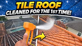 NEVER Cleaned Before! Tile Roof Soft Wash Transformation | Valrico FL screenshot 3