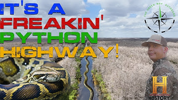 Poisonous Plants & Finding Python Sign In The Everglades - Python Hunting - Green Way Clips