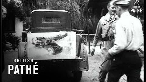 The Near Zero Dish (1931)