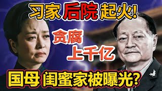 Download Lagu Old Wang is here: The case involving the family of the First Lady's best friend has uncovered a s... MP3