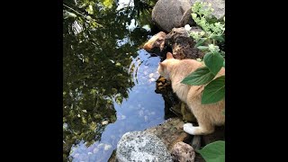 Free Lildrughill 4Nway Type Beat - Le Pays