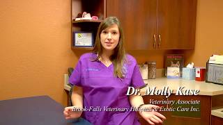 Expert Veterinary TV -  Episode #10 12 Reasons to visit your veterinary clinic