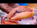 Fish Eggs Collect Method !! Black Pomfret &amp; Seer Fish Cutting By Expert Fish Cutter