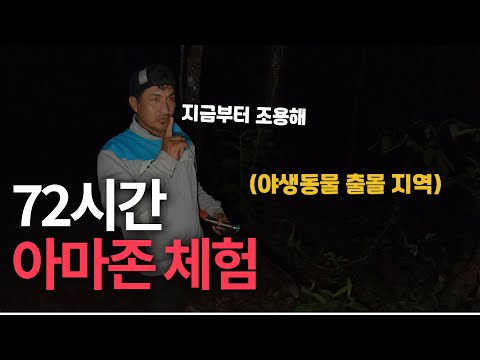 온갖 동물들이 등장하는 페루 아마존 체험 🇵🇪