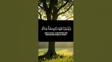 القران الكريم ياسر الدوسري صوت عذب وجميل #القرآن #المصحف #القرآن_الكريم #اكسبلور