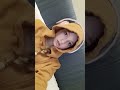 hii